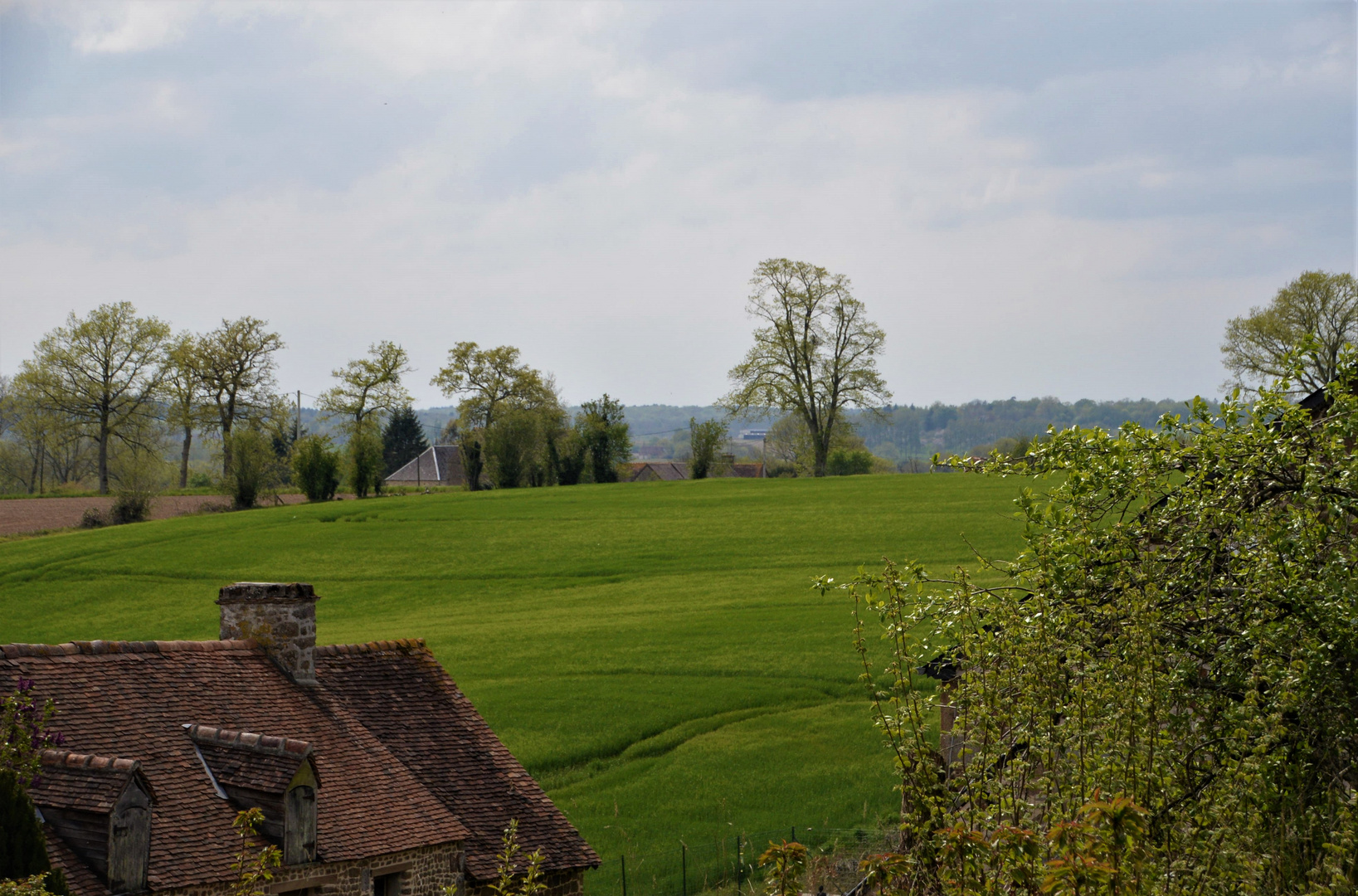 Paysage sarthois