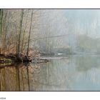 paysage sur les bords du Thouet