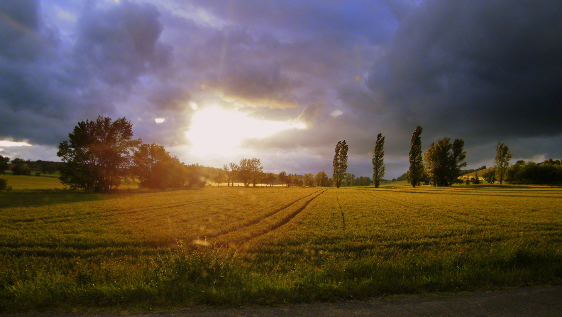 Paysage tarnais