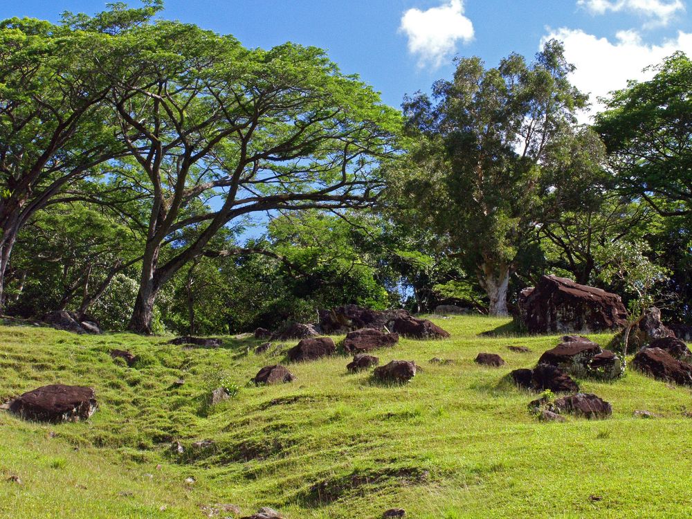 Paysage tropical à Sarraméa - Tropische Landschaft in Sarraméa
