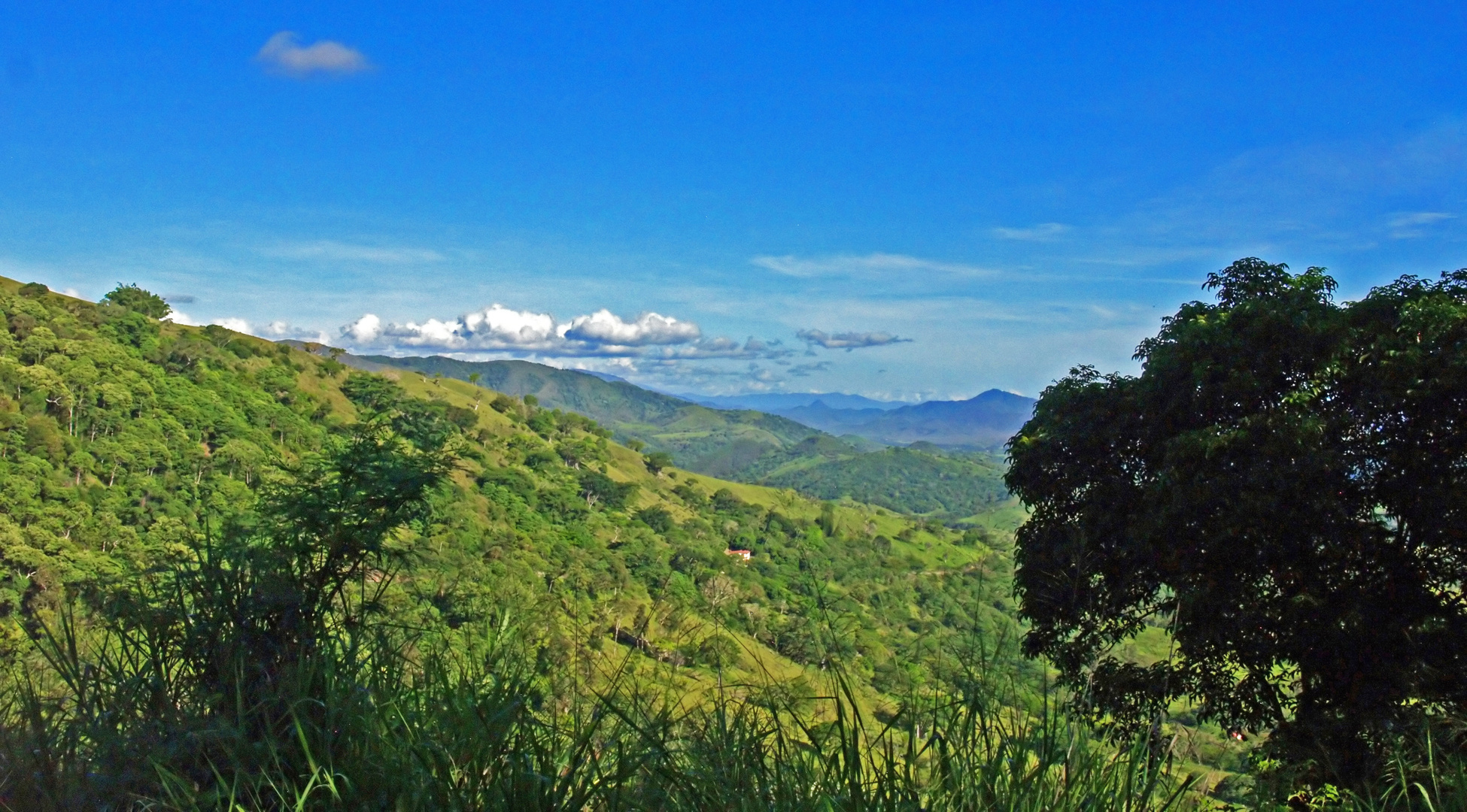 Paysage tropical près du Parc des Grandes Fougères  --  Nouvelle-Calédonie