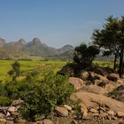 Paysage typique, sur la route entre Axum et Adigrat.