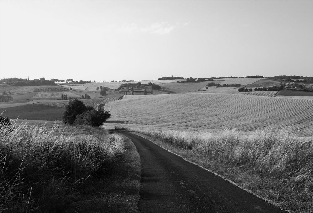 Paysage valonné