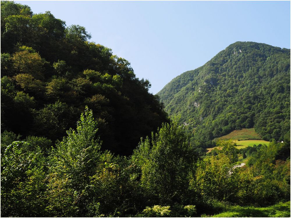 Paysage verdoyant vers le Somport (Pyrénées Atlantiques)