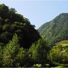 Paysage verdoyant vers le Somport (Pyrénées Atlantiques)