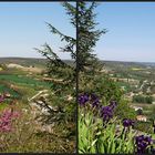 Paysages autour de Lauzerte  --  (Tarn-et-Garonne)  -- Landschaften um Lauzerte