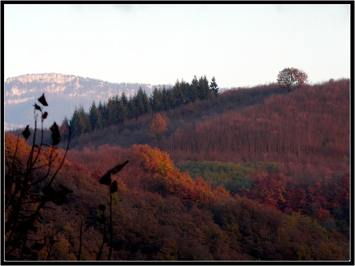 Paysages d'automne