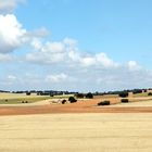 Paysages de Valençia à Cordoba (Espagne)