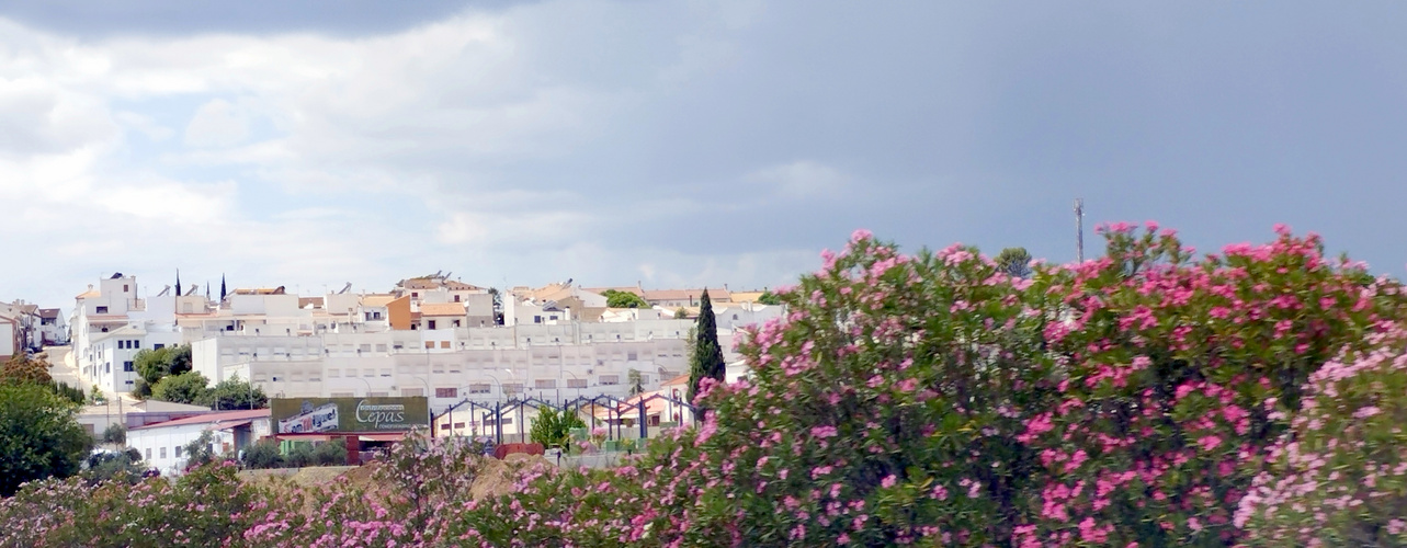 Paysages de Valençia à Cordoba (Espagne)