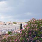 Paysages de Valençia à Cordoba (Espagne)