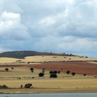 Paysages de Valençia à Cordoba (Espagne)