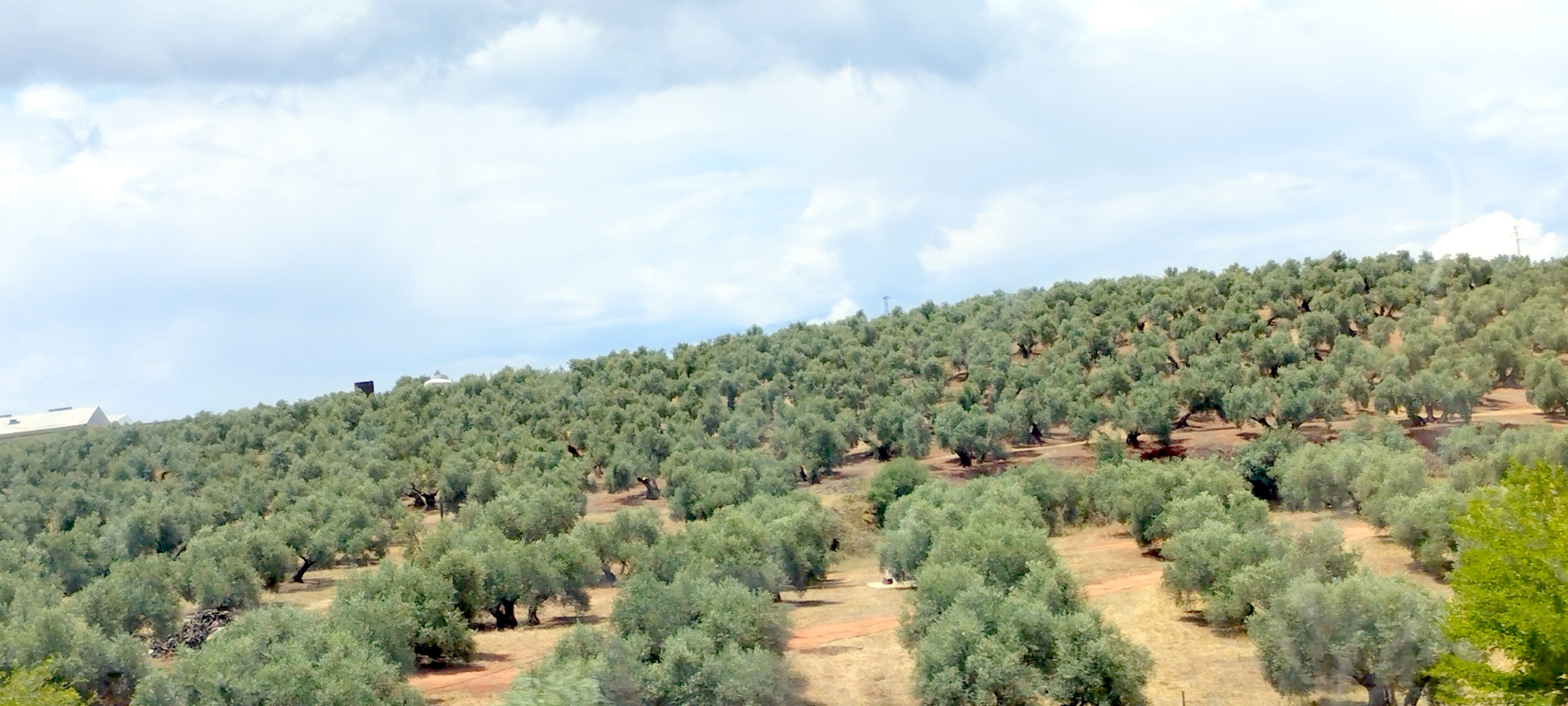 Paysages de Valençia à Cordoba (Espagne)