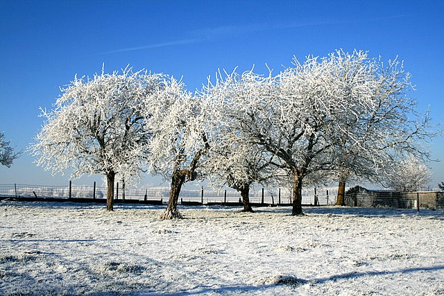 paysages dEllignies-Sainte-Anne 1