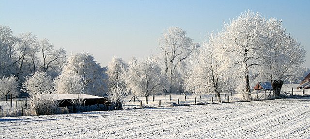 paysages dEllignies-Sainte-Anne