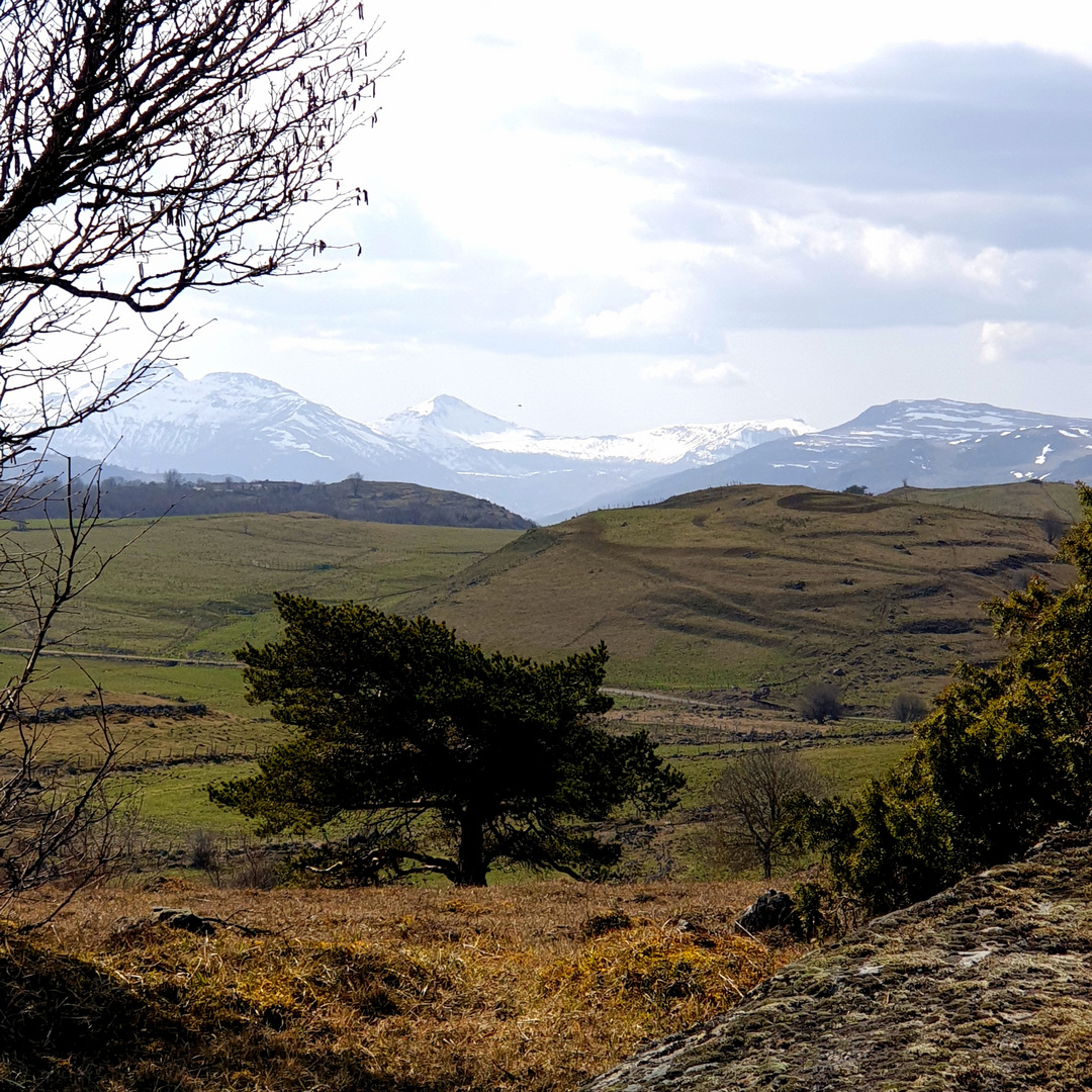 Paysages du cantal 