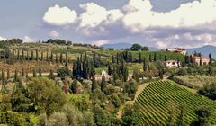 paysages du prècieux brunello...