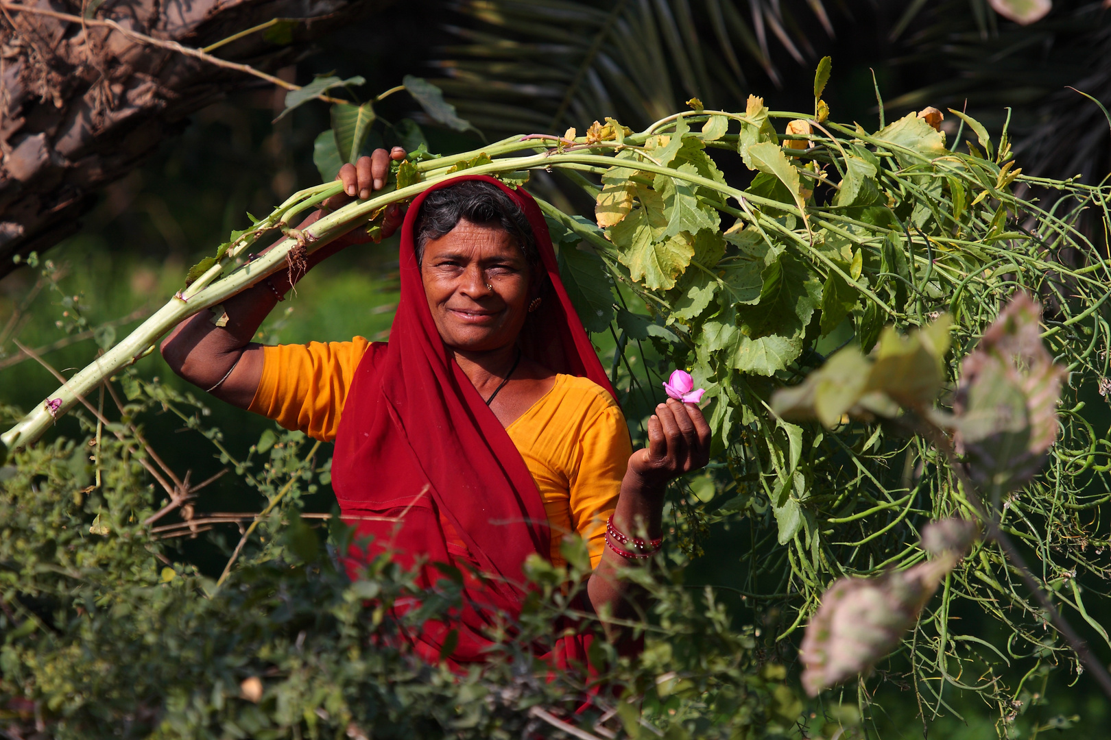 Paysanne du Rajasthan.