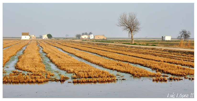 PAZ EN EL DELTA