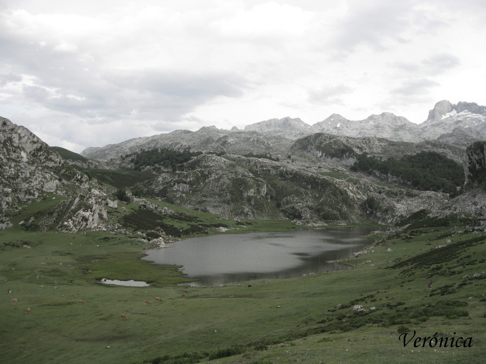 Paz en los Lagos de Covadonga