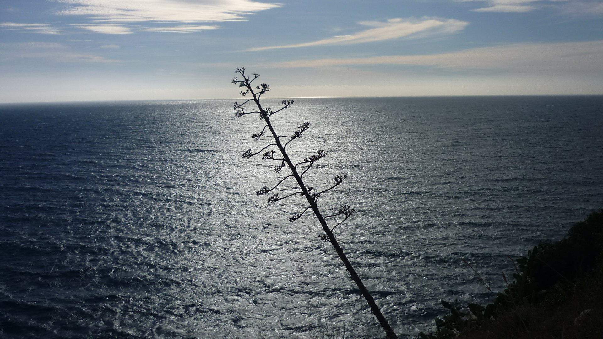 PAZ, TRANQUILIDAD Y RELAJACION