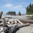 Pazifikküste am Ruby Beach / Westküste Olympic National Park