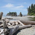 Pazifikküste am Ruby Beach / Westküste Olympic National Park