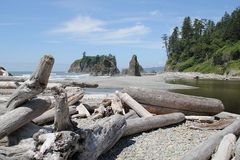 Pazifikküste am Ruby Beach / Westküste Olympic National Park