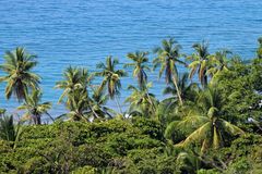 Pazifikküste Costa Rica