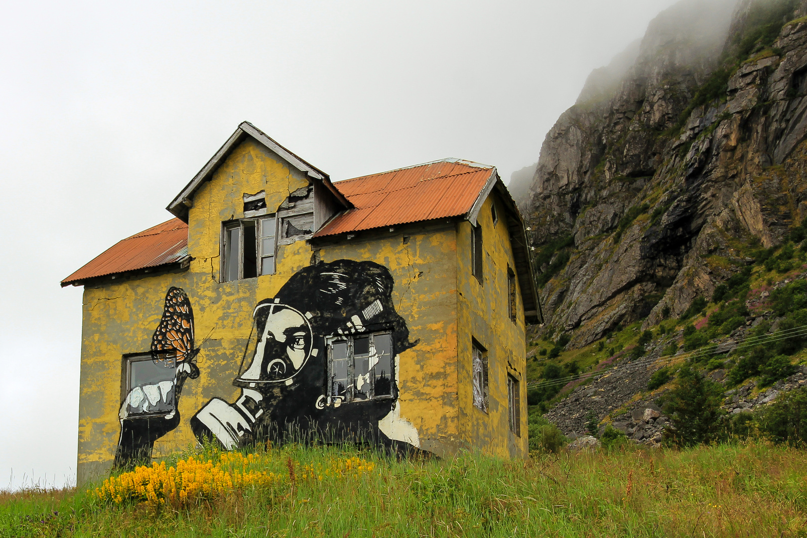 Pøbel auf den Lofoten