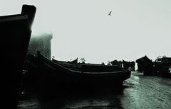 P_Boote und Möve maroc c75d-640-sw_v7_w10_bea