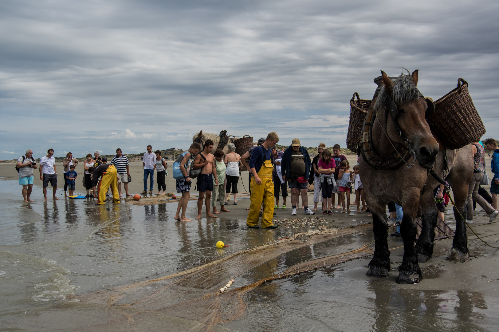 Pêche à la crevette