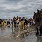 Pêche à la crevette