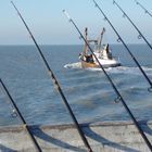 Pêche à Ostende