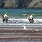 Pêche à pieds, bretagne