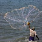 Pêche au filet sur les rivages de Cochin