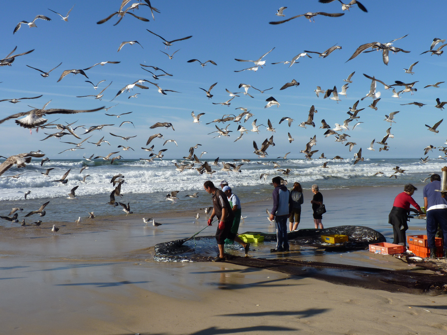 Pêche au Portugal