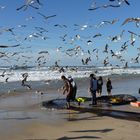 Pêche au Portugal