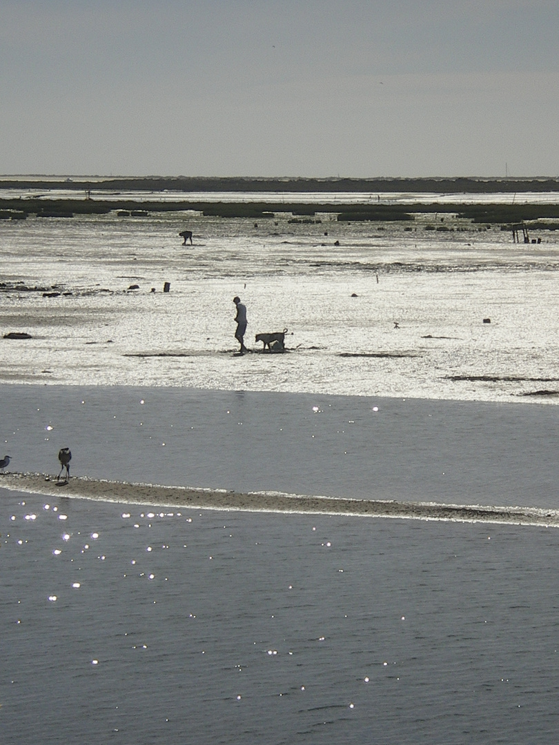 pêche aux crustacés