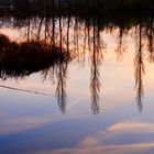 pêche aux reflets