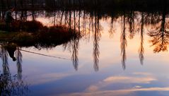 pêche aux reflets