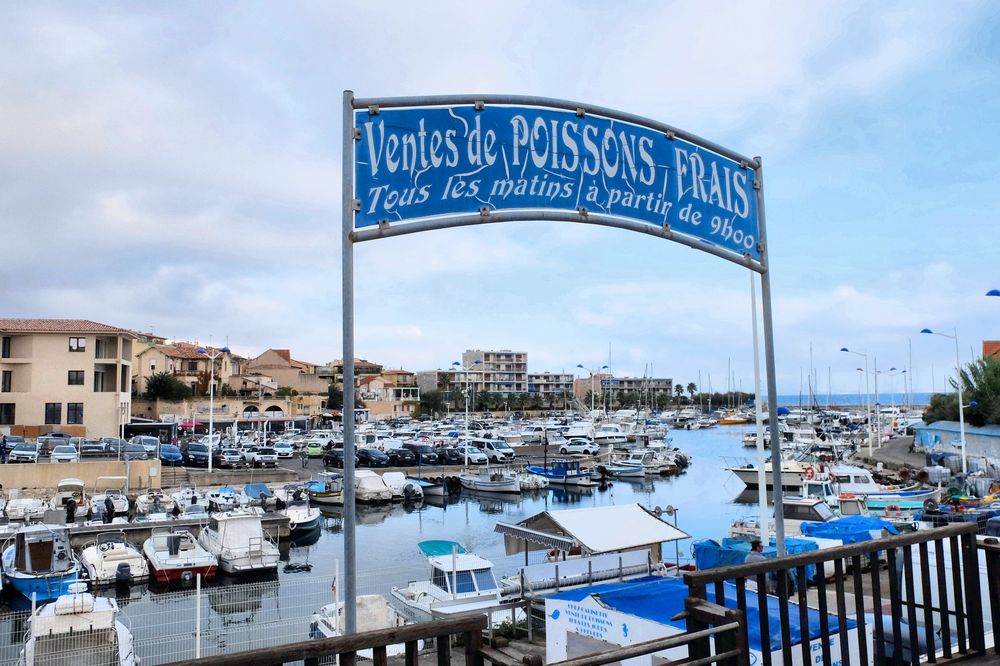 Pêche en eaux bleues