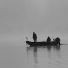 Pêche matinale