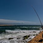 Pêche musclée à la barre d' Étel 