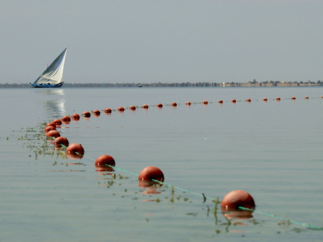 pêche tranquille