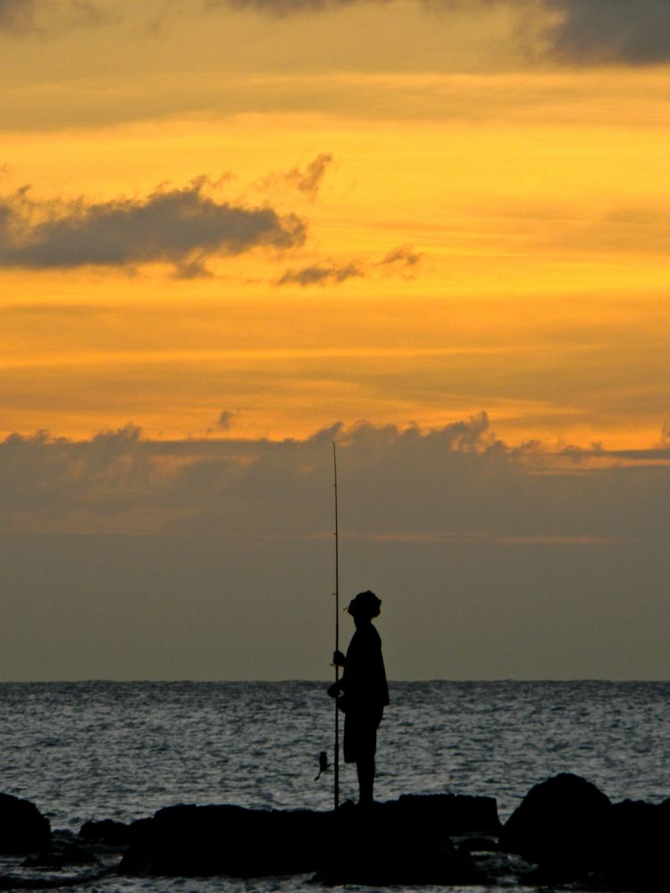 Pêcher ou ne pas pêcher, telle est la question!