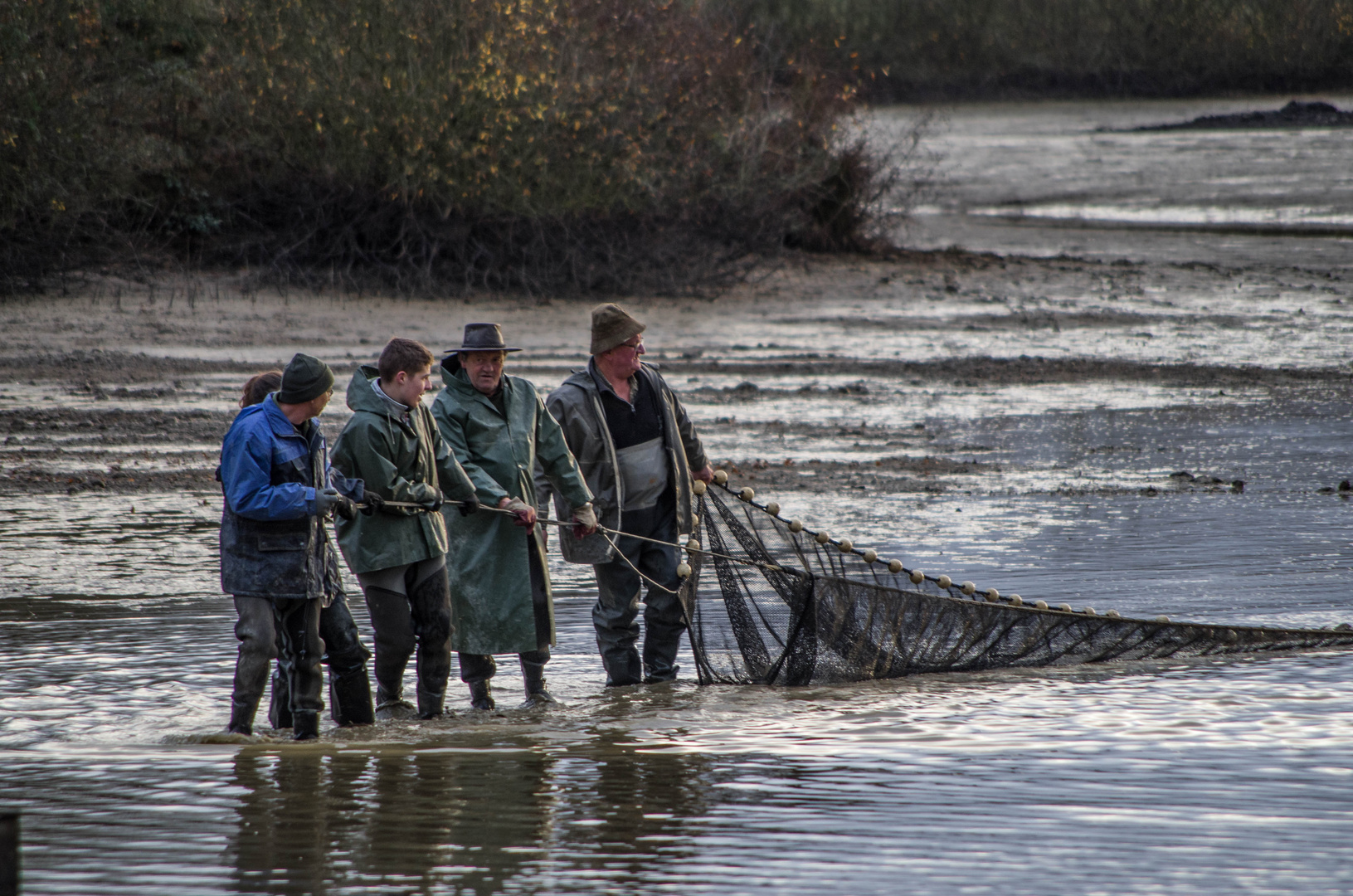 Pêcherie d'un étang dans l'Ain