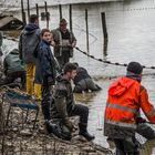 Pêcherie d'un étang dans l'Ain