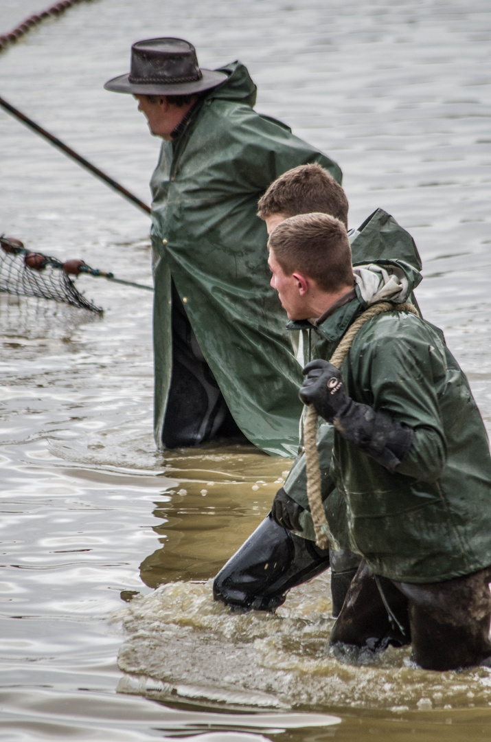 Pêcherie d'un étang dans l'Ain