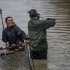 Pêcherie d'un étang dans l'Ain