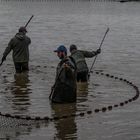 Pêcherie d'un étang dans l'Ain